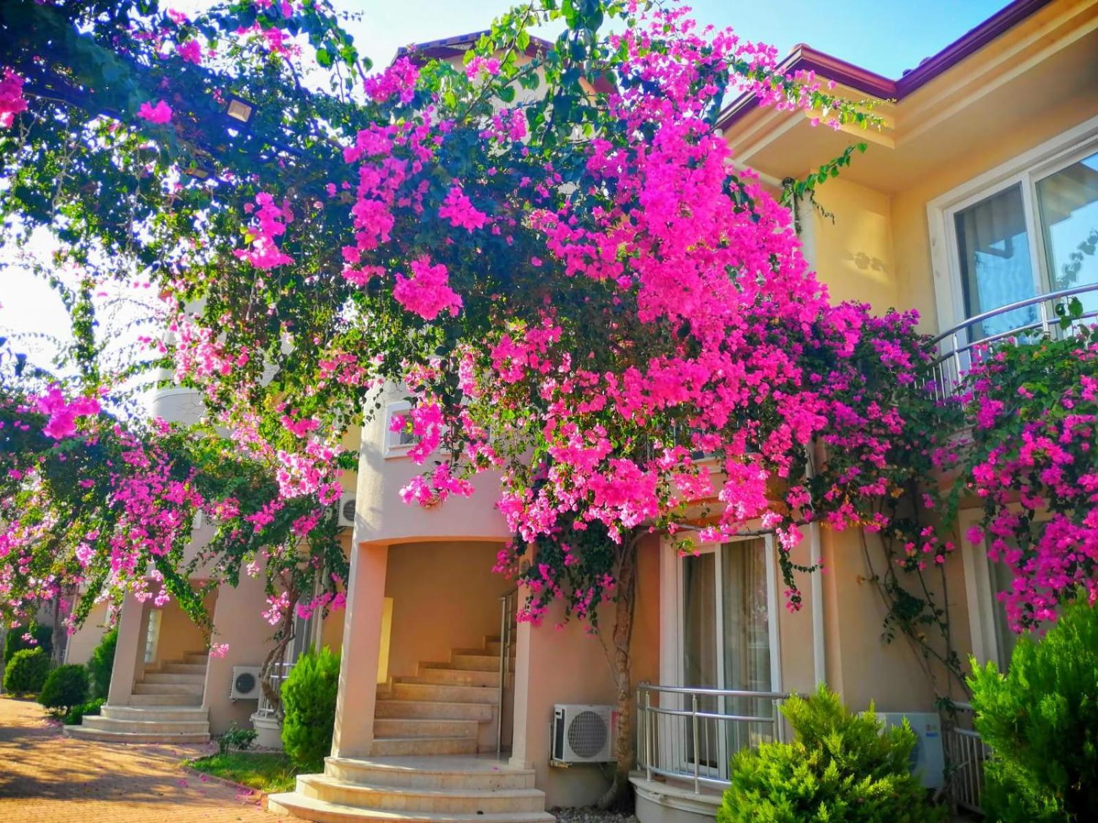 Sunset Beach Club Doğa Apart Fethiye Exterior foto